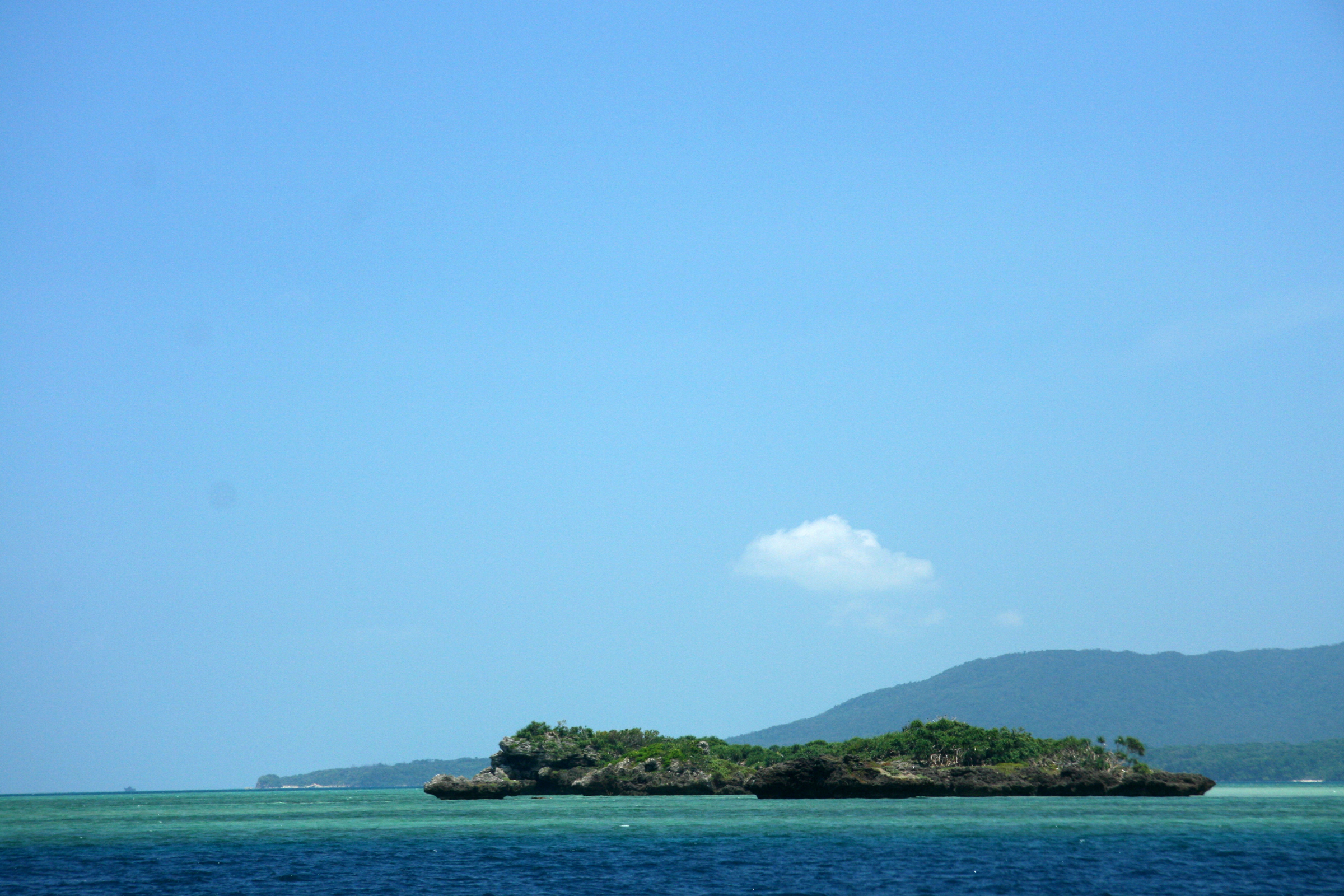 iriomote island.webp